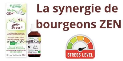 Des bourgeons pour gérer son stress